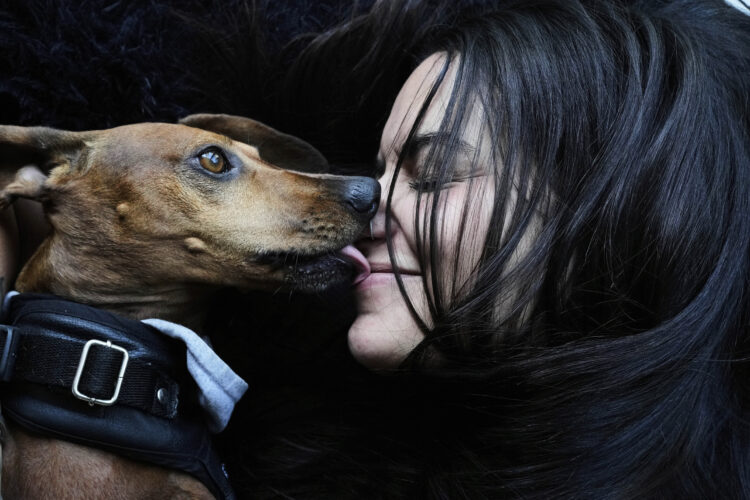 As more Argentines go childless, pampered dogs become  part of the family